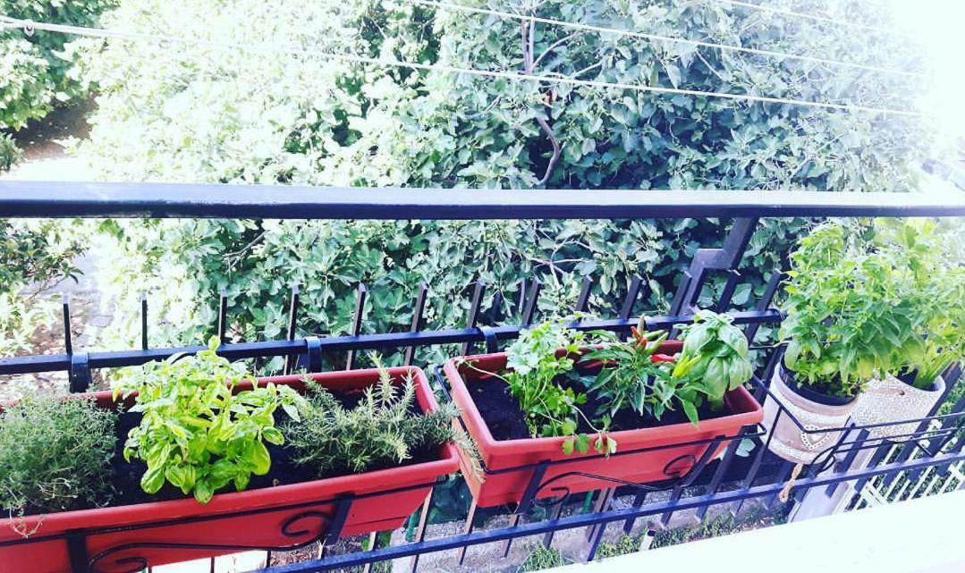 Casa Luisa Bed & Breakfast Salerno Ngoại thất bức ảnh